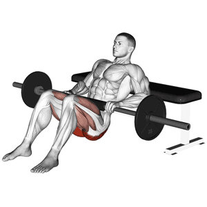 barbell bridge