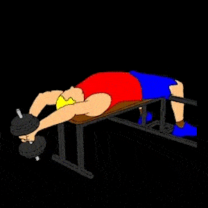A person doing a dumbbell pullover