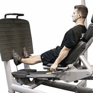 Leg Press Calf Raises