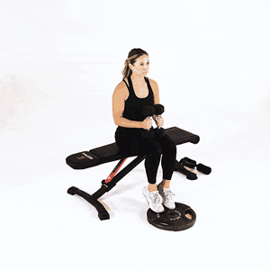 Seated Calf Raises