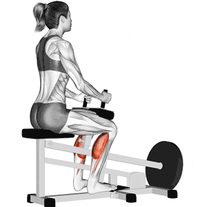 Seated “Donkey” Calf Raises