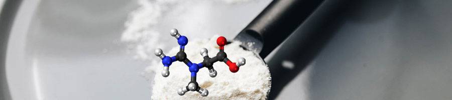 creatine molecule with white protein powder in black spoon
