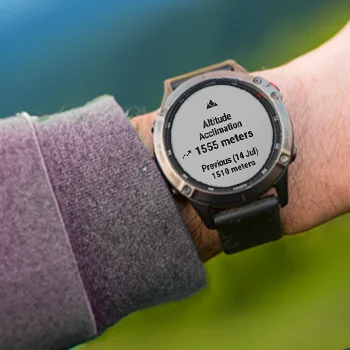 Garmin Fenix 6