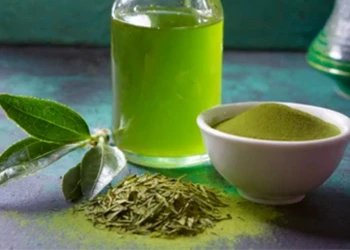 Green tea leaf extract powder