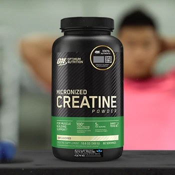 Optimum Nutrition Micronized Creatine Powder