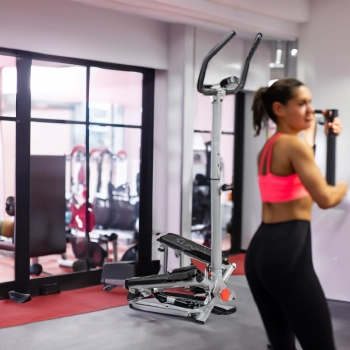 Sunny Health _ Fitness Stair Stepper